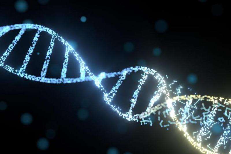 解密《sf123》：科技、人性与生存的奥秘